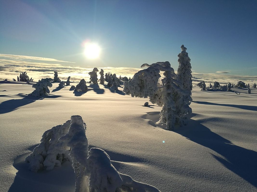 Stuga med 15 sängplatser i  Sälen, Dalarna