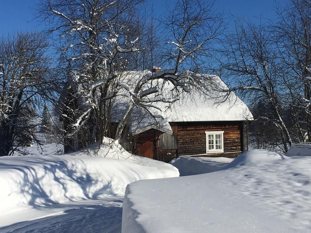 Stuga med 4-7 sängplatser i  Hallen, Jämtland