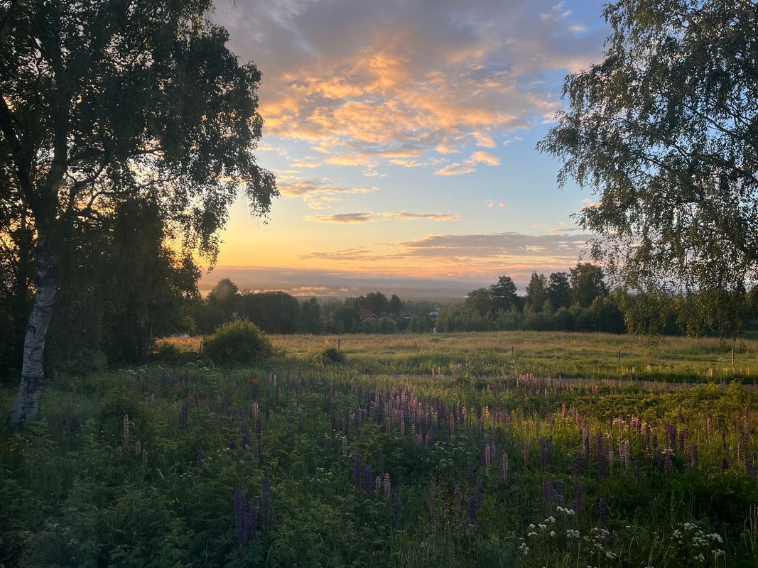 Stuga med 10 sängplatser i  Skattungbyn, Dalarna