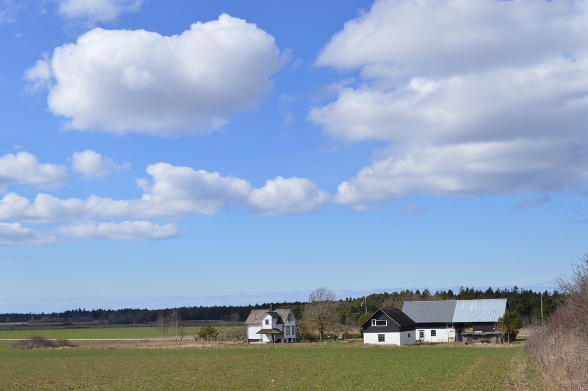 Stuga med 4 sängplatser i  Gotland