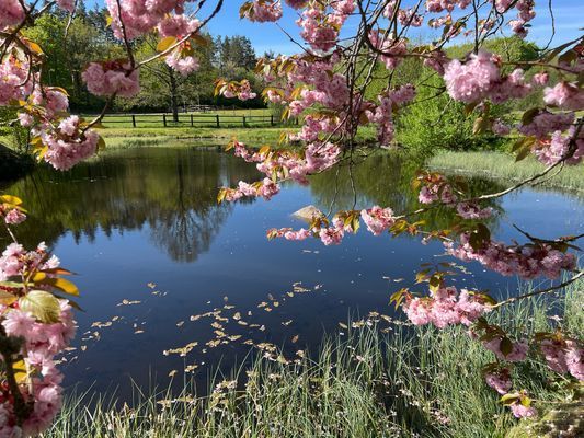 Porten till Österlen i unik miljö.