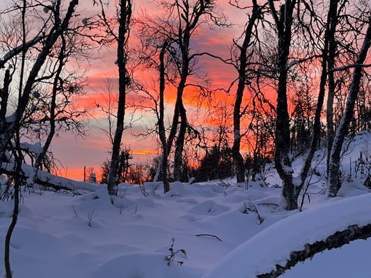 Toppen-läge i Hamra/Tänndalen! - Bild 12