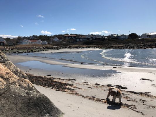 Nära havet och Göteborg västkusten havsutsikt - Bild 16