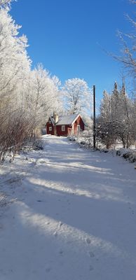 Bild 4 på Hundtillåten, lugn, mysig stuga, nära bad/fiske