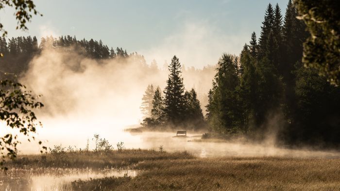 Torp med sjöläge vid kanotleden Svartälven, bastu - Bild 41