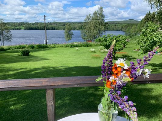 Välutrustad stuga vid Ljusnans strand