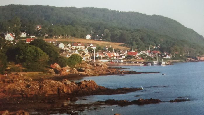 Stuga i vackra Arild i Skåne 200m hav bad naturres - Bild 10