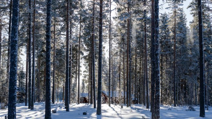 Rymlig 4p stuga med öppen spis i badort - Bild 25