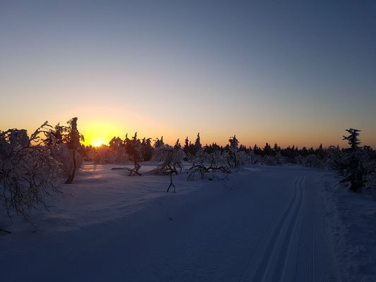 Fin stuga i Trysil kommun nära Sälenfjällen - Bild 20