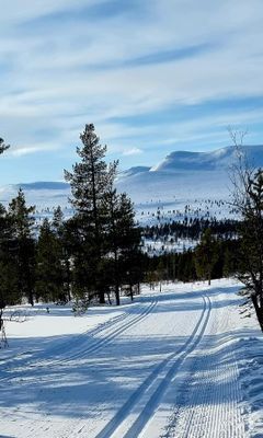 Nybyggd fjällstuga i Grövelsjön - Bild 22