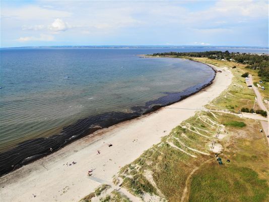 Strandnära stuga på skånska Kullahalvön