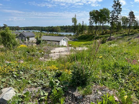 Mysig stuga vid hav och skog