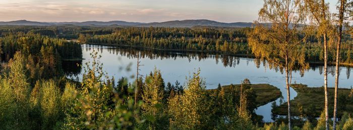 Torp med sjöläge! vedeldad bastu, kanot,fint fiske - Bild 21