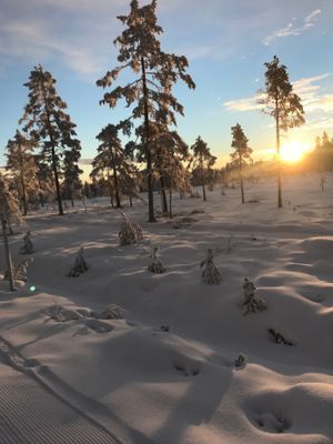 Långberget - Längdskidåkarens Paradis - Bild 12