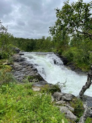 Silverfallet kan vara en trevlig utflykt