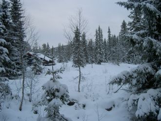 Hyr denna stuga i Näsfjället på 80 m². 6 sängplatser. 4 900 - 6 900 kr per vecka. Se bilder och tillgänglighet här.