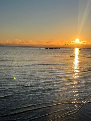 Falkenberg, stuga 50 meter från havet. - Bild 15