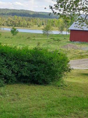 Fridfull & charmig våning i Smålands Trädgård - Bild 50