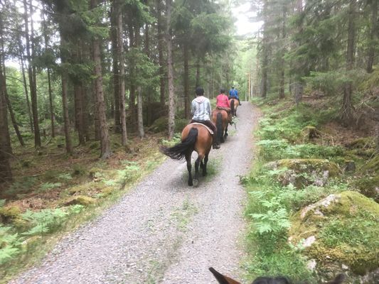 Härligt torp-ridning, bad och fiske mm - Bild 12