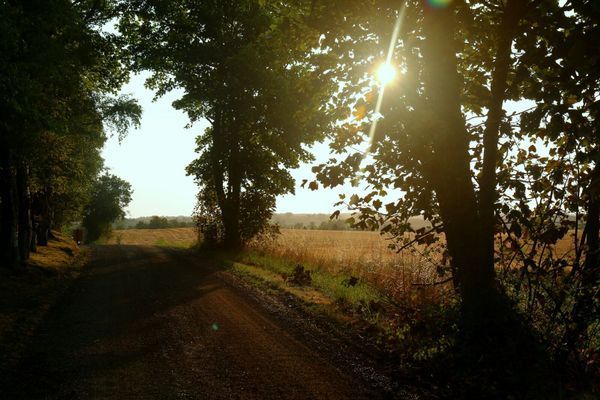 Brantås 27 - en idyll på Österlen - Bild 9