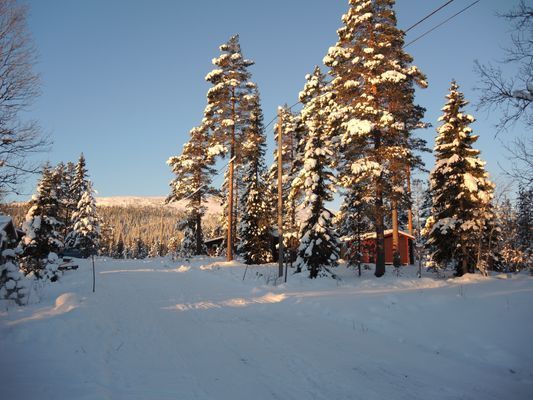 Längdskidspår rätt utanför stugan.