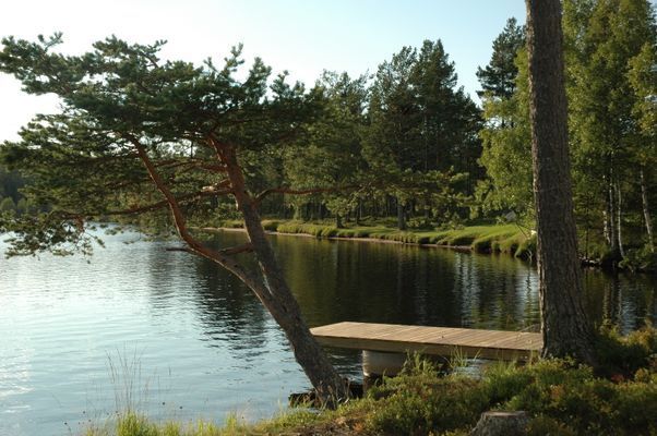 LAKE NISSÅNGEN - Strandtomt Bad Båt Bastu Fiske - Bild 21