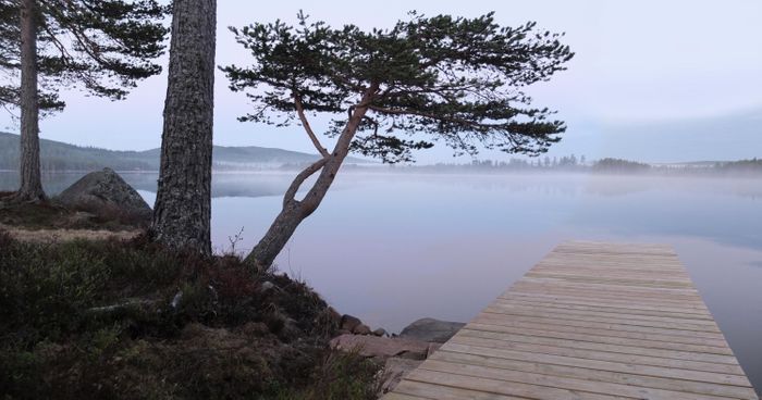 LAKE NISSÅNGEN - Strandtomt Bad Båt Bastu Fiske - Bild 27