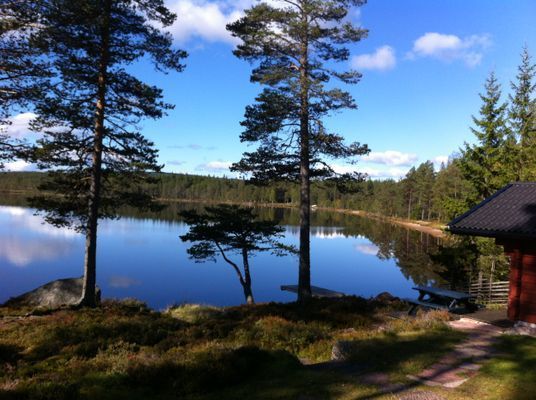 LAKE NISSÅNGEN - Strandtomt Bad Båt Bastu Fiske - Bild 25