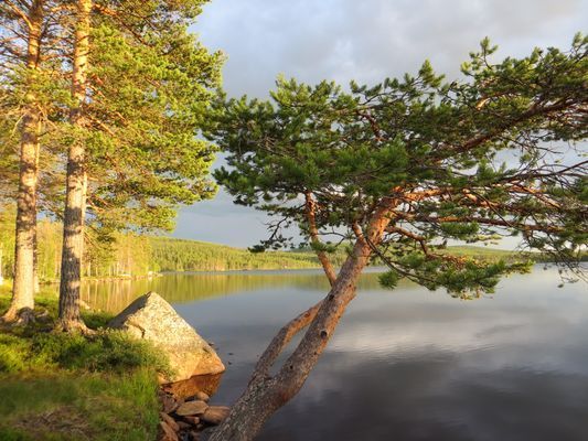 LAKE NISSÅNGEN - Strandtomt Bad Båt Bastu Fiske - Bild 29