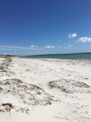 Stranden 200 meter från annexet.