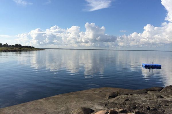 Stuga nära havet i Magnarp/Ängelholm - Bild 14