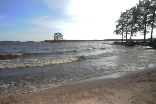 Strand 50 meter från tomten (1 minuts promenad)