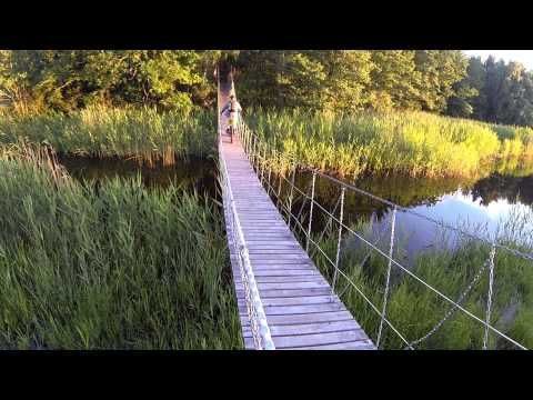 Strandstuga, egen sjötomt, sandstrand,brygga o båt - Bild 21