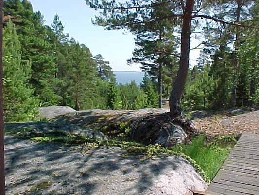 Sjönära sommarstuga med havsutsikt