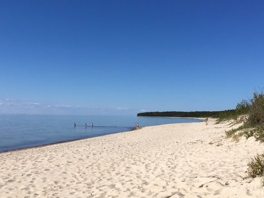 100 m ifrån strand, stuga + gästhus - Bild 8