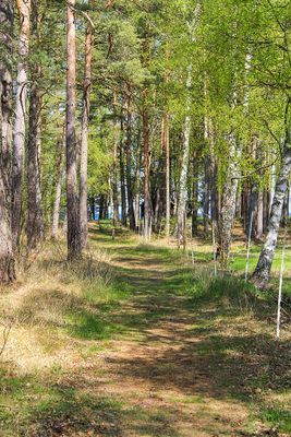 UNDERBART HUS MED TOPPENLÄGE NÄRA HAVET - Bild 26