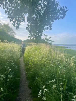 Fin natur, nära havet,barnvänlig strand, fridfullt - Bild 30