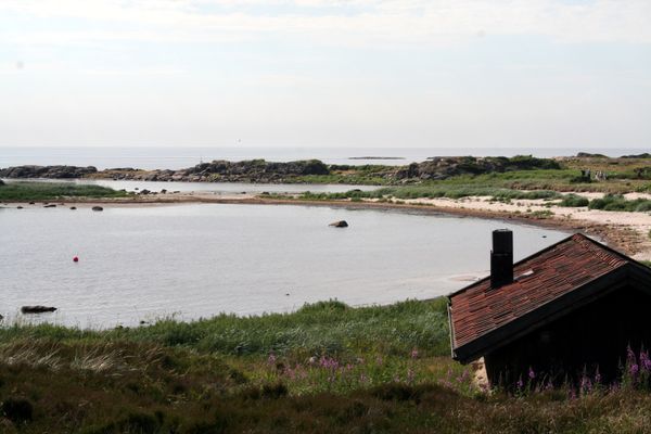 Modernt gästhus nära Steninge strand - Bild 29