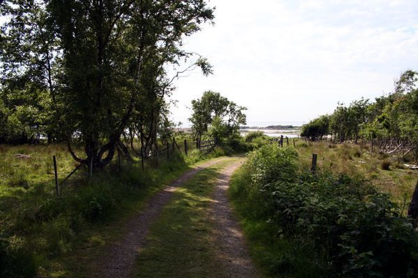 Modernt gästhus nära Steninge strand - Bild 26