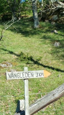 Vandringsled