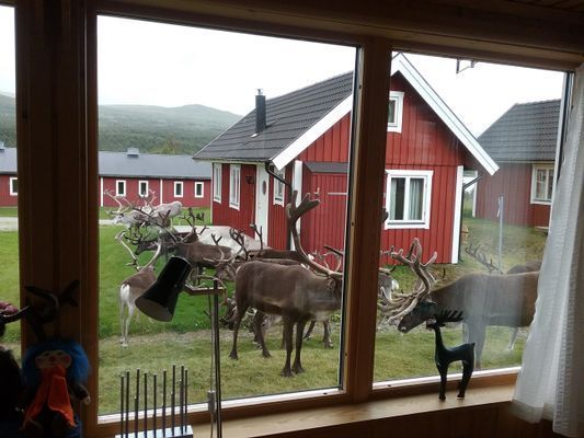 Mysig stuga i snörika Fjällnäs Tänndalen - Bild 6