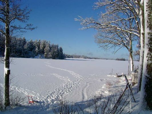 Stuga Precis vid Sjön (Sämsjön)Båt Fiske i sverige - Bild 43