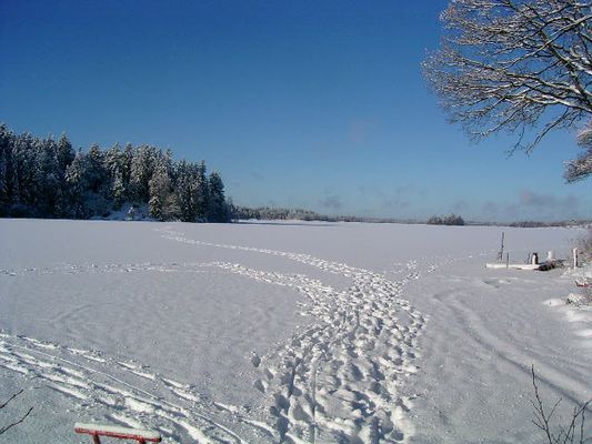 Stuga Precis vid Sjön (Sämsjön)Båt Fiske i sverige - Bild 38