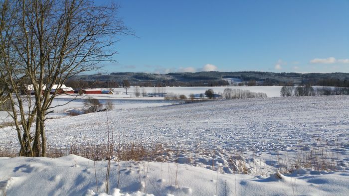 Ulricehamn- Dalum - Borås - Mysig Stuga - Bild 62