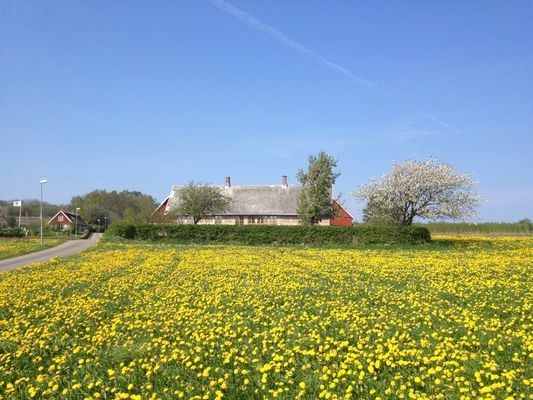 Arild, Kullaberg Kattegatsleden Arilds Vingård HL2 - Bild 1