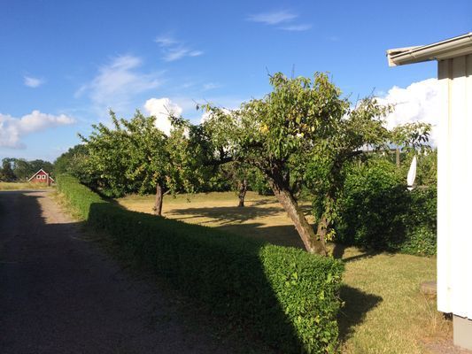 Stuga nära havet i Magnarp/Ängelholm - Bild 19