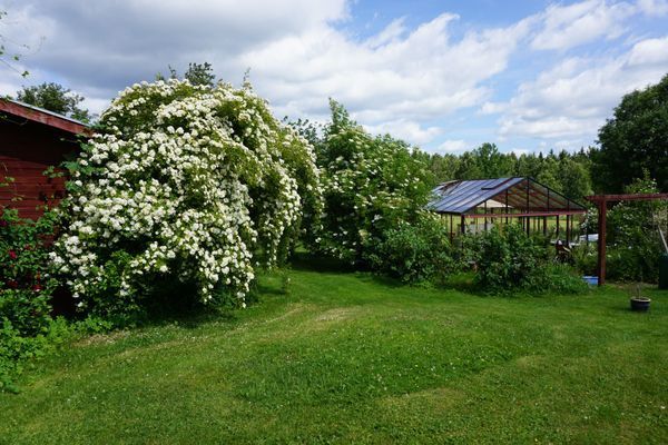 Hyr denna stuga i Högsby på 60 m². 2-4 sängplatser. 3 000 - 3 800 kr per vecka. Se bilder och tillgänglighet här.