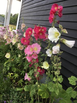 Underbart hus i Byxelkrok nära havet - Bild 23