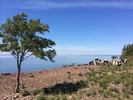 Underbart hus i Byxelkrok nära havet - Bild 34