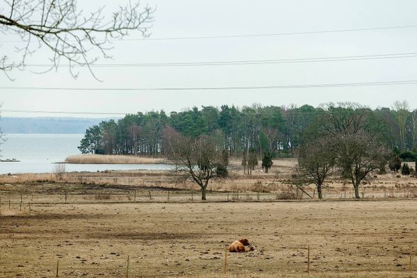 Mysig stuga nära strand och hav